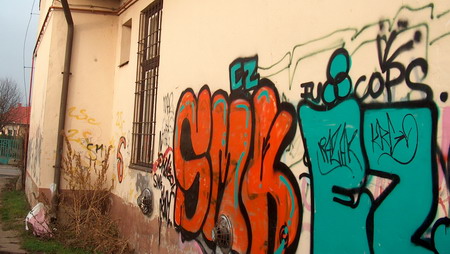 HPIM6101_450.jpg