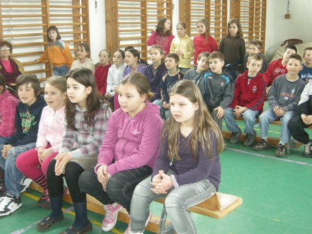 B__bsz__nh__z_004_cikkhez.jpg