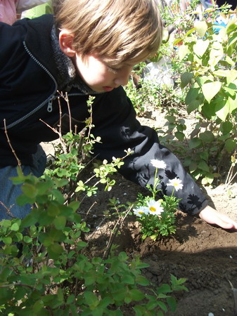 Vir__g__ltet__s_2011._002_resize.jpg