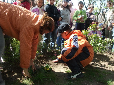 Vir__g__ltet__s_2011._005_resize.jpg