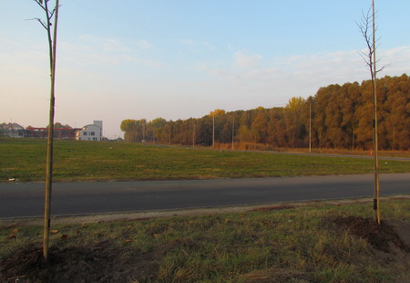IMG_f__k2_resize.JPG