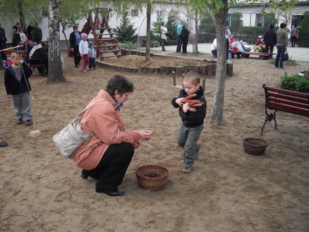 IMGP1489_resize.JPG