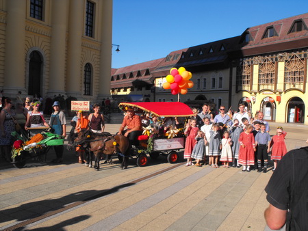 DSCF0435_resize.JPG