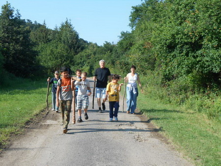 cserp3_450 cserp3_450