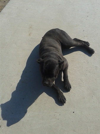 1965046_10200746410022593_718769392_n_resize_450