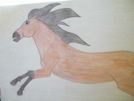 hamar_boglrka_resize_450