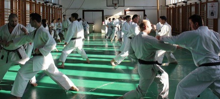 karate2_450 karate2_450