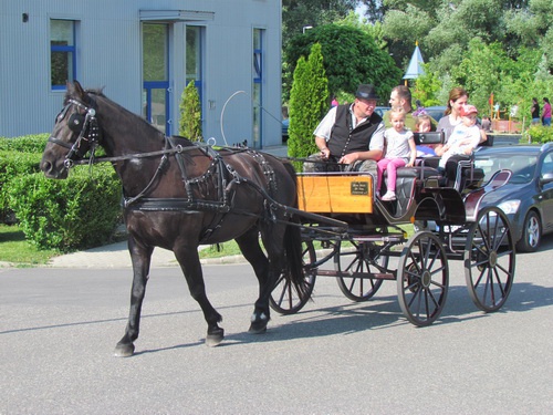gynszeker_500 gynszeker_500
