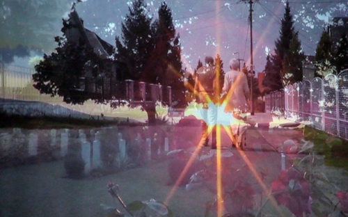 lass002_resize_500 lass002_resize_500