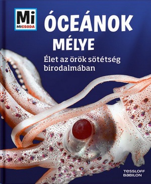 cenok_mlye_366 cenok_mlye_366