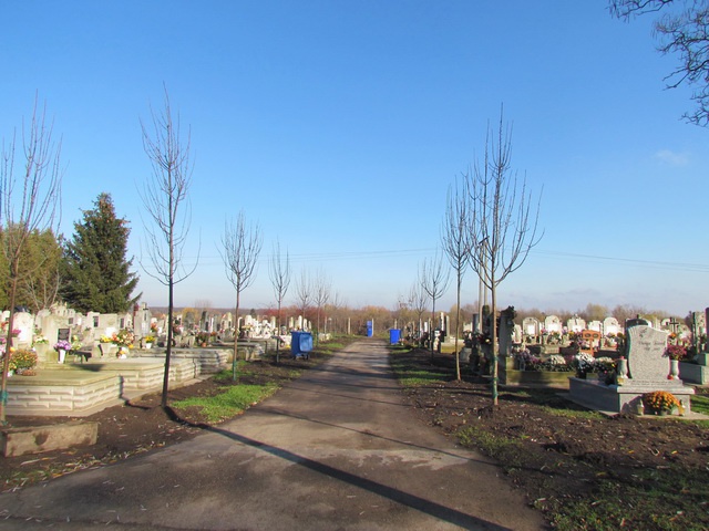 temet3374_640 temet3374_640