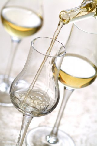 palinka_480 palinka_480