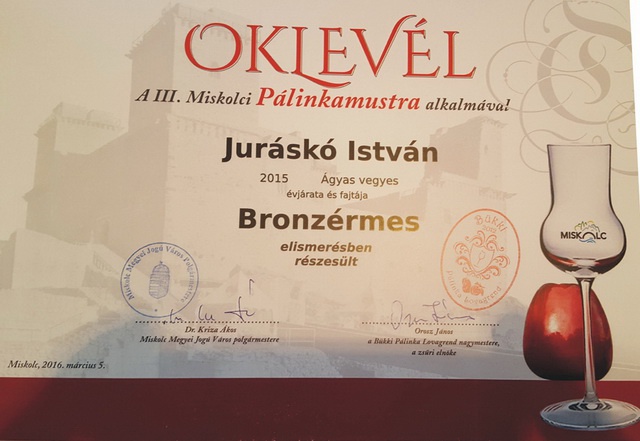 plika_bronz_jursk_i_resize_640