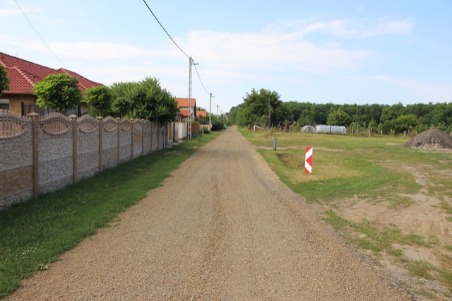 platn_resize_640 platn_resize_640