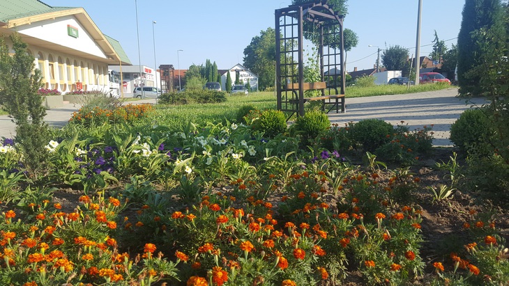 postaeltt_03_resize_730