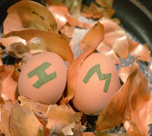 5monogram_300_300 5monogram_300_300