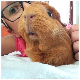 3badar_nedda__toboz_280