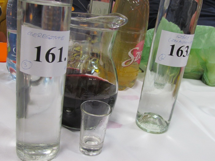 plinka_resize_700 plinka_resize_700