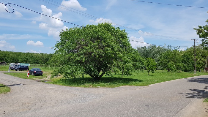 pl_700_700 pl_700_700