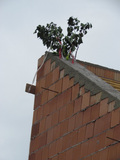 bokrta_502_667 bokrta_502_667