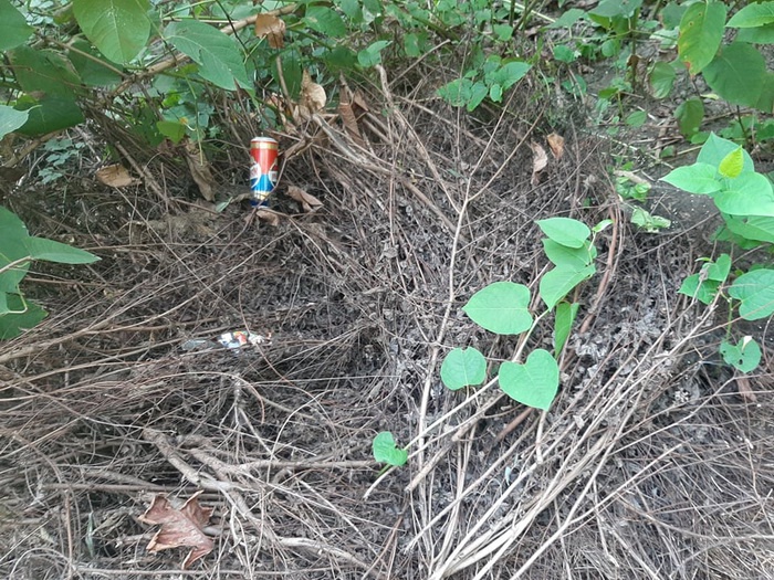 kp2_resize_700 kp2_resize_700
