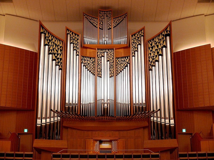 4kitara_orgona_700_700