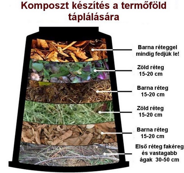 kompi1_700_700