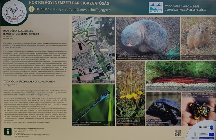 fldikutya4_745
