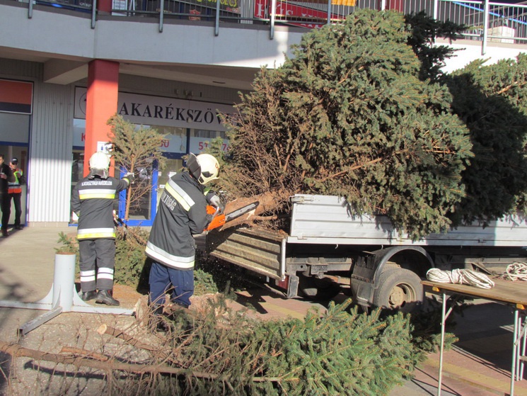 kari2_resize_745 kari2_resize_745