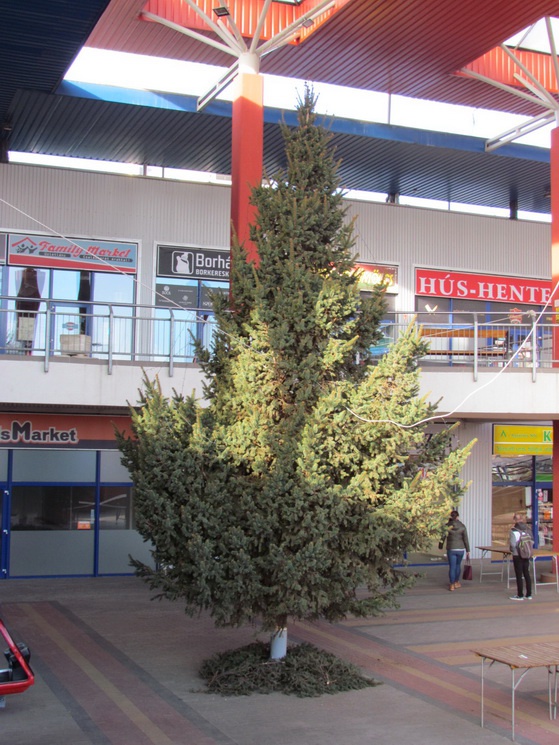 kari3_resize_745 kari3_resize_745