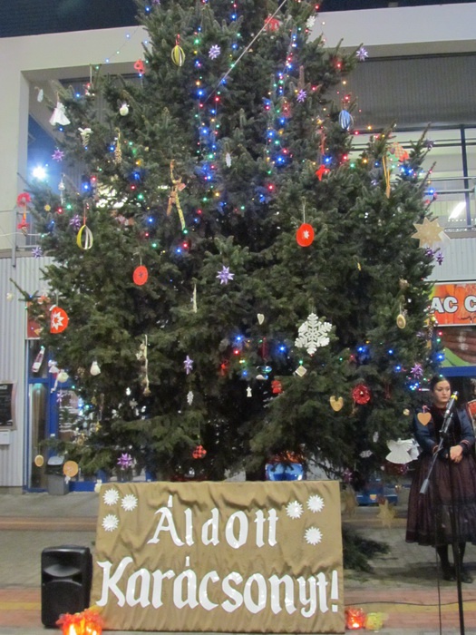 adv4_resize_700