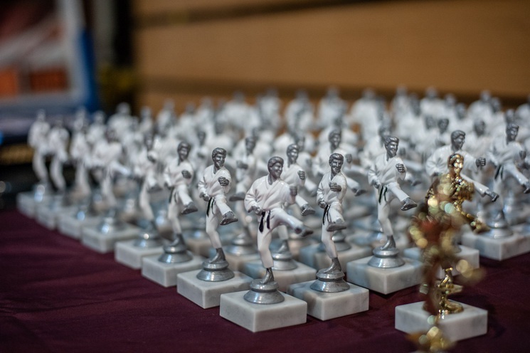 karate_szobrok_resize_745 karate_szobrok_resize_745