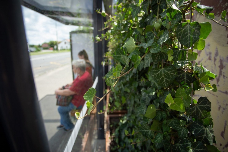 buszmeg_2_resize_745