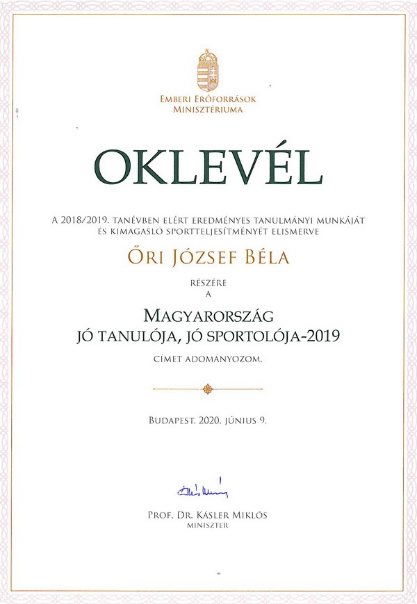 oklevl_600_869