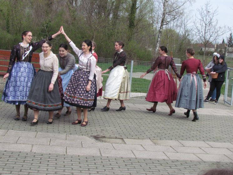 img_6911_745_745 img_6911_745_745