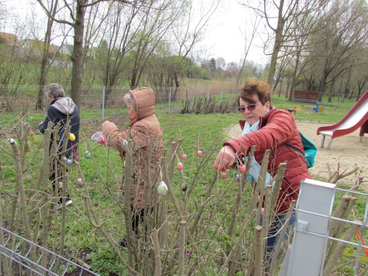 img_6948_745_745 img_6948_745_745